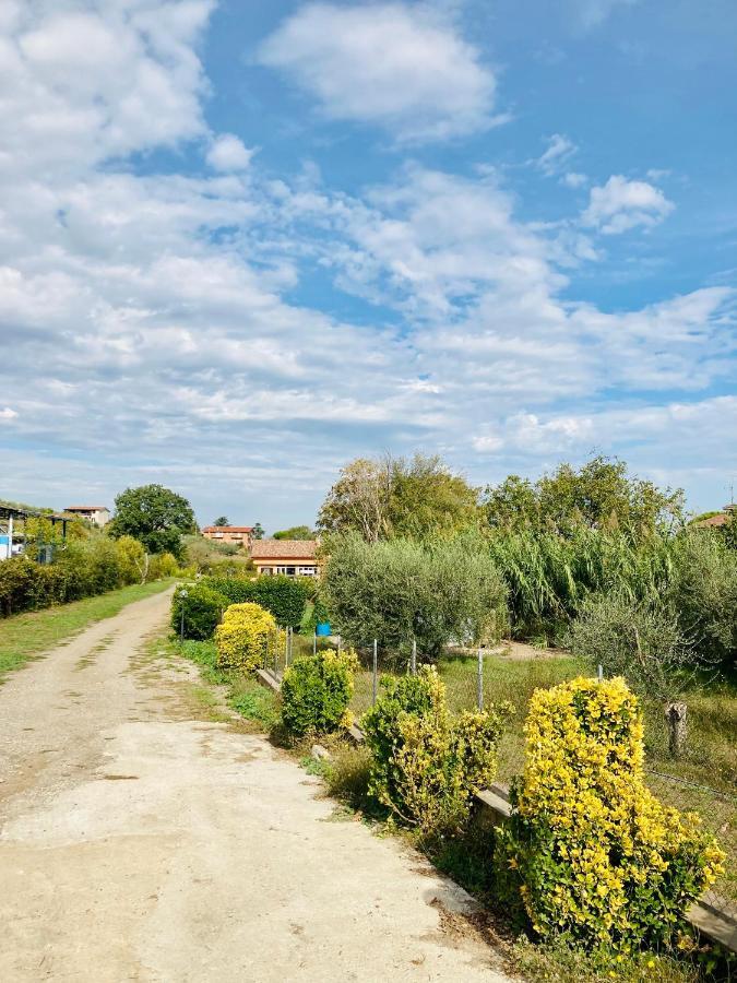 Villa Bubu, Appartamento Country-Chic Rome Buitenkant foto