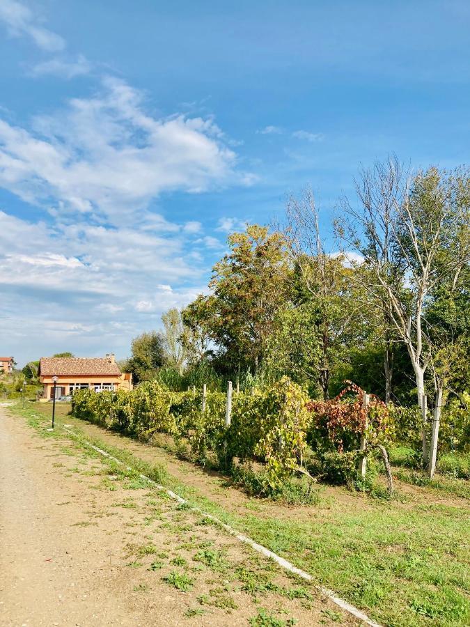 Villa Bubu, Appartamento Country-Chic Rome Buitenkant foto