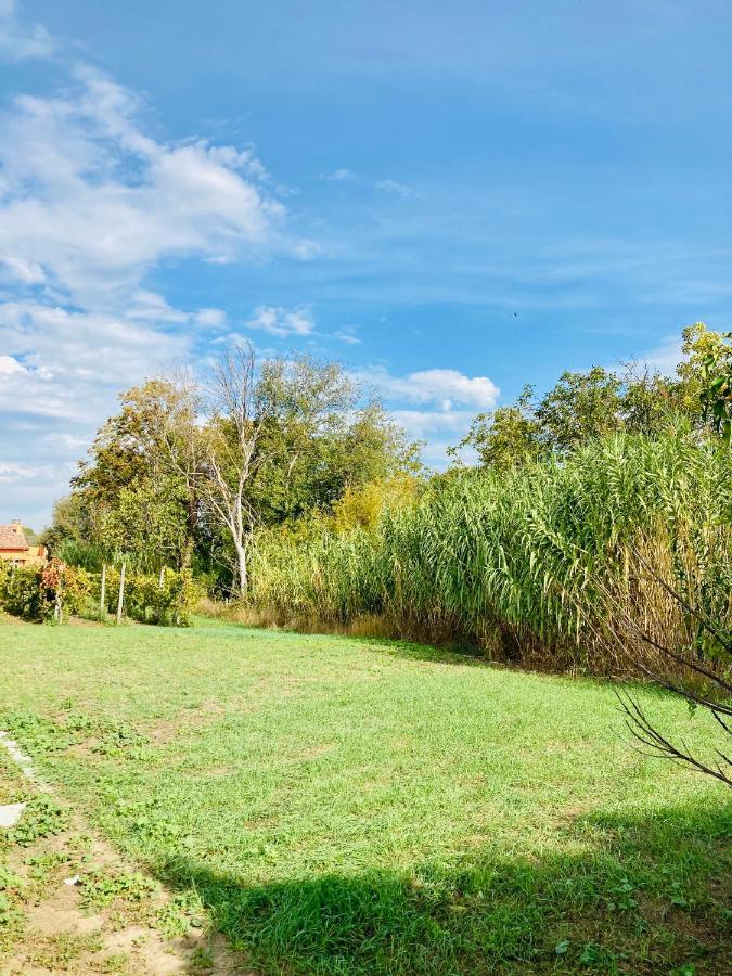 Villa Bubu, Appartamento Country-Chic Rome Buitenkant foto