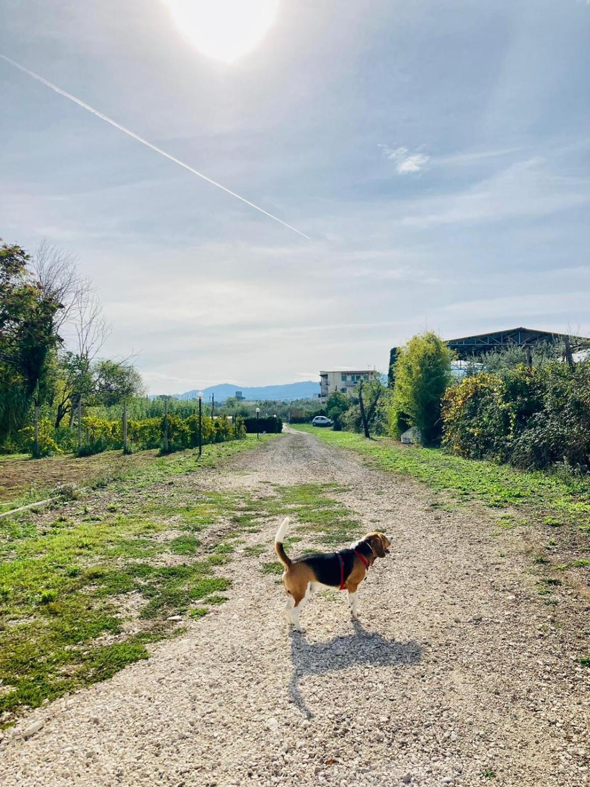Villa Bubu, Appartamento Country-Chic Rome Buitenkant foto
