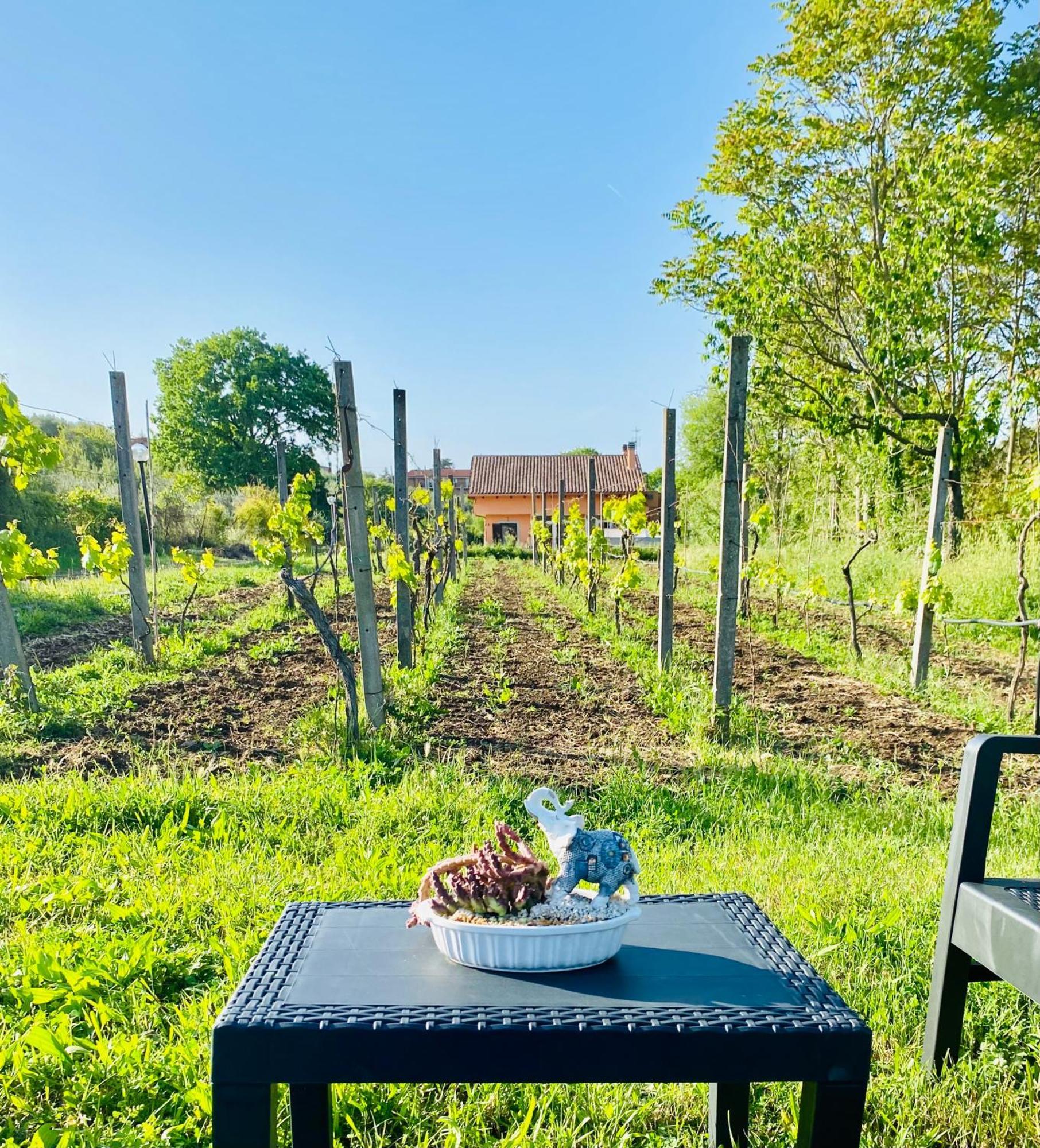 Villa Bubu, Appartamento Country-Chic Rome Buitenkant foto