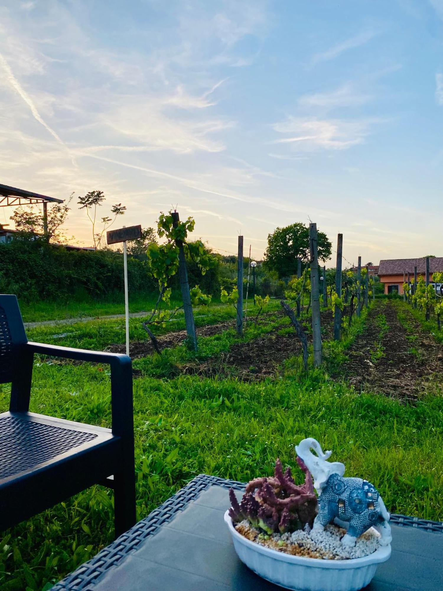 Villa Bubu, Appartamento Country-Chic Rome Buitenkant foto