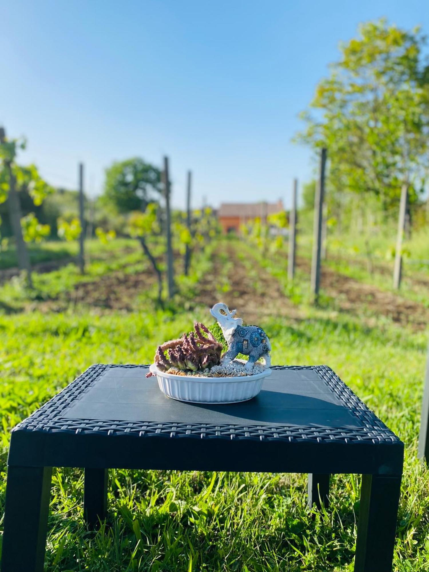Villa Bubu, Appartamento Country-Chic Rome Buitenkant foto